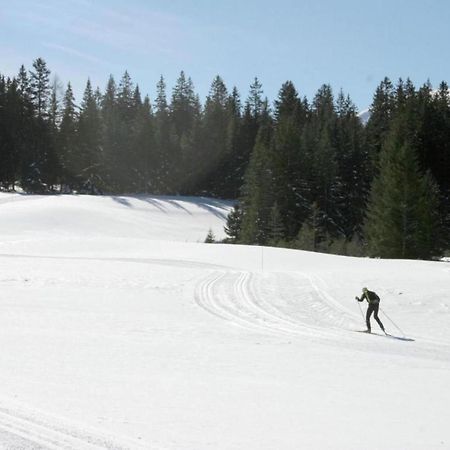 Chalet In Hohentauern Near Ski Area With Sauna Exteriör bild