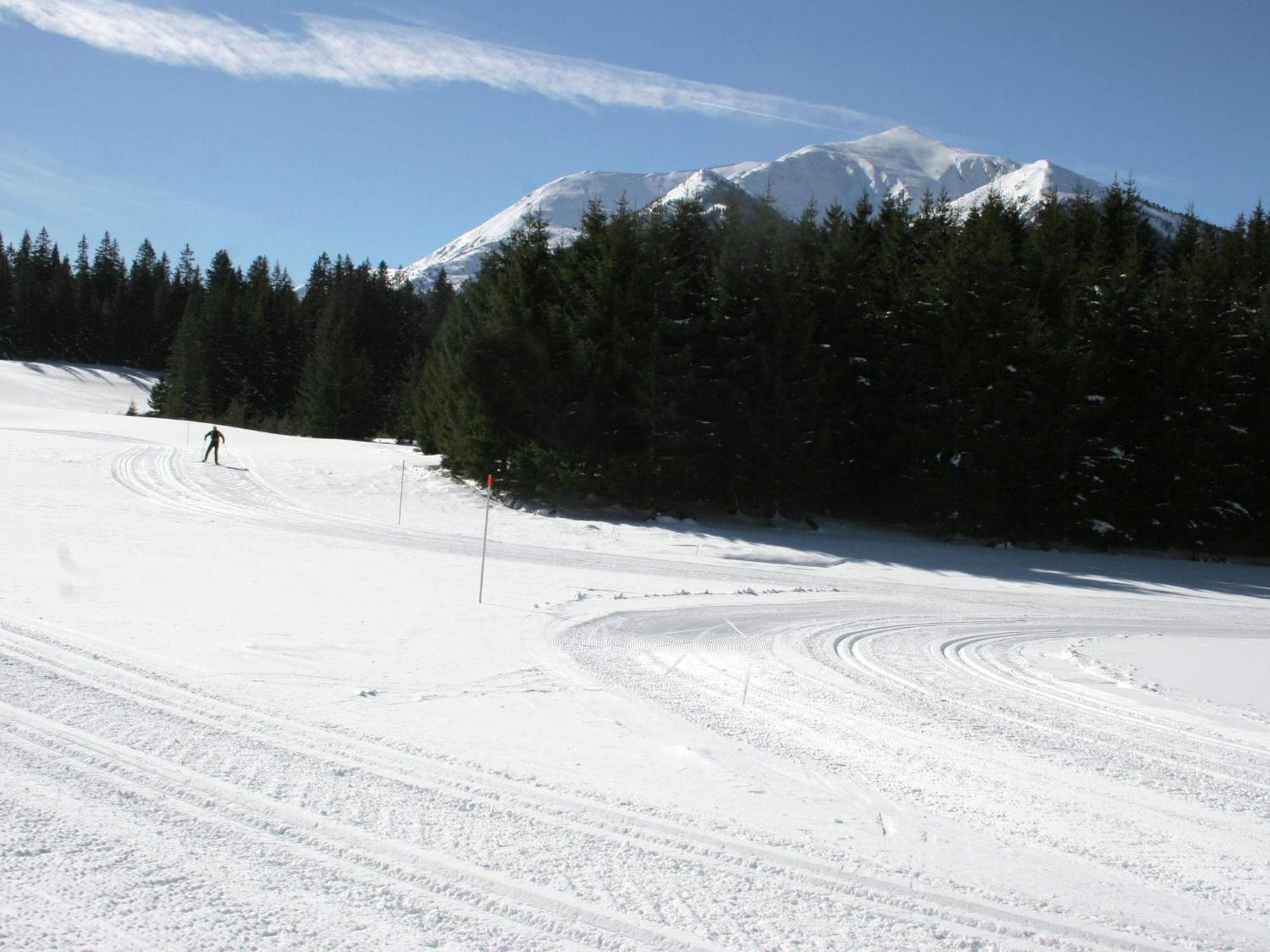 Chalet In Hohentauern Near Ski Area With Sauna Exteriör bild
